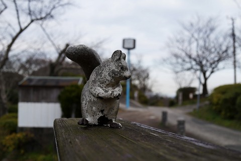 DSC04360