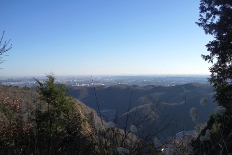DSC06807