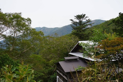 DSC03155
