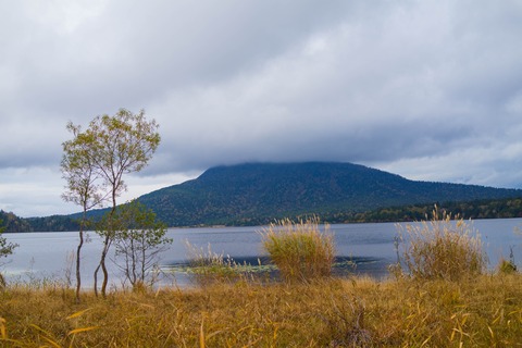 20161008-DSC03411