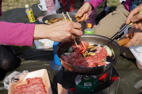 DSC00534