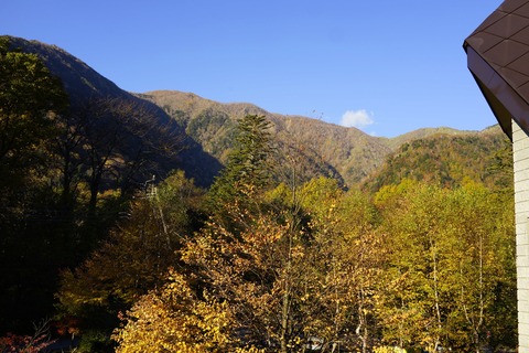 _DSC0354