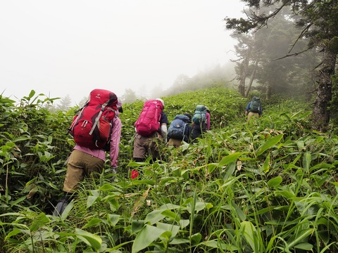 023 総じて登りは緩やか。