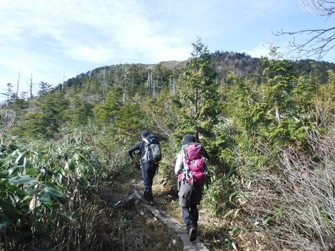 081 木道になった。