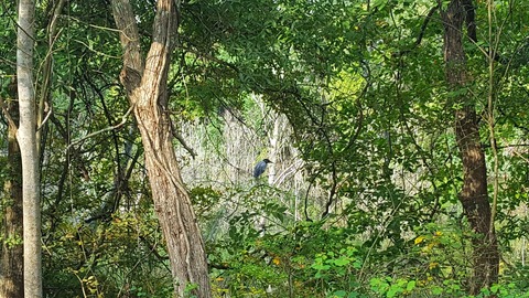 20170903_092756