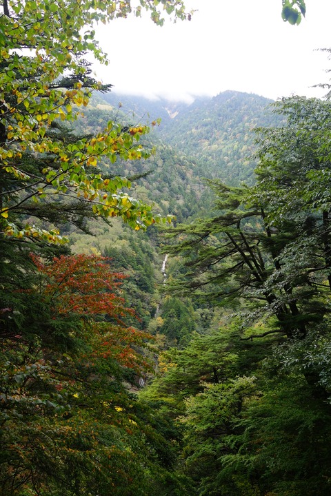 DSC03465