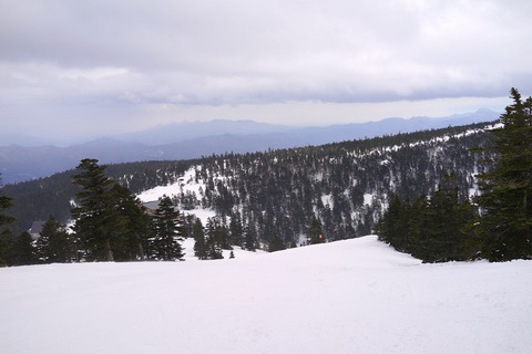 DSC04220