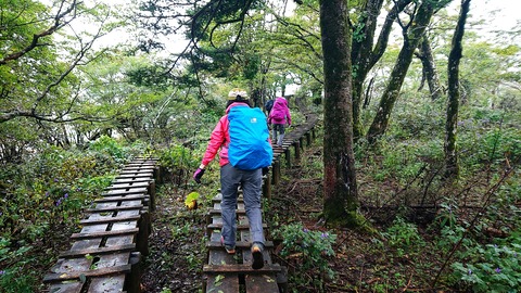 32 木道がとてもスリッピー。