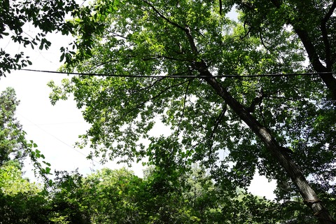 DSC09082