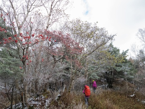 018 気温は2℃。風があるので体感はマイナス数℃か。