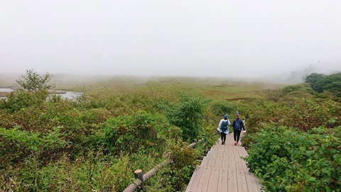 64 八島湿原。