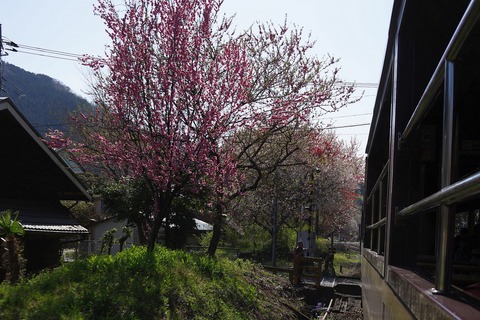 DSC01074