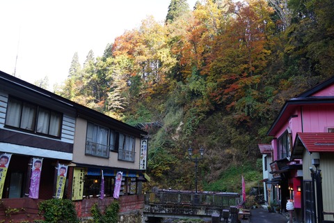 DSC03939