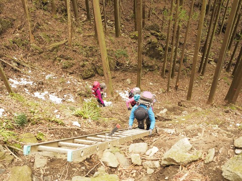 28 梯子はなんとなく不安定。