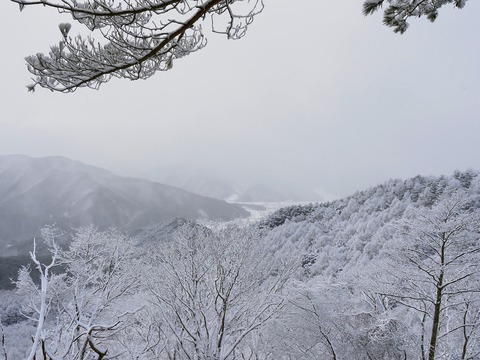 012 下界がチラリと見えた。