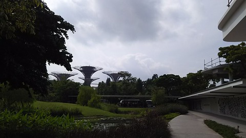 DSC_0010
