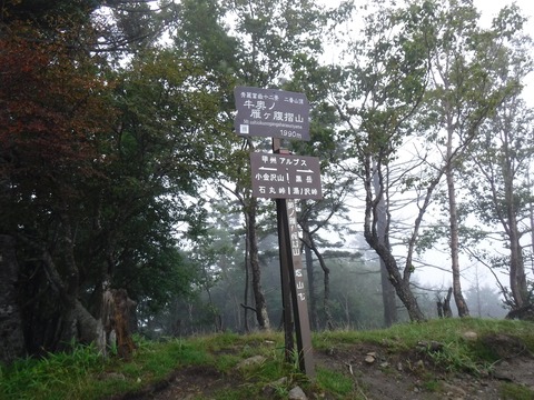 41 牛奥ノ雁ヶ原摺山山頂。