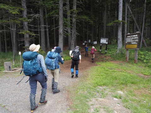 005 ここが登山口。歩き始めから辺りは針葉樹林。