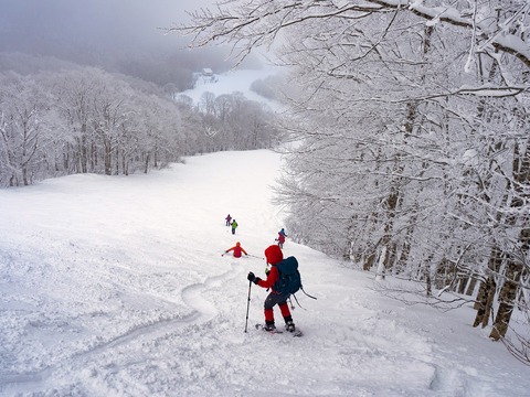 040 ここを滑るスキーヤー､スノーボーダーは少ない。