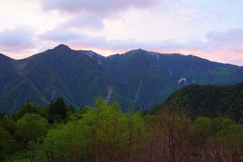 DSC08994