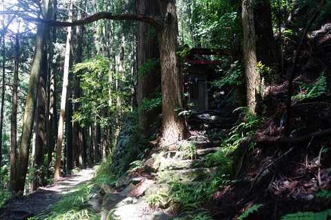 20 ここにも神社。