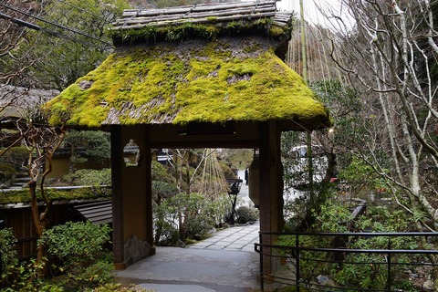 DSC00211
