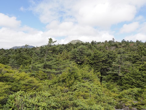 030 振り返ると茶臼山。