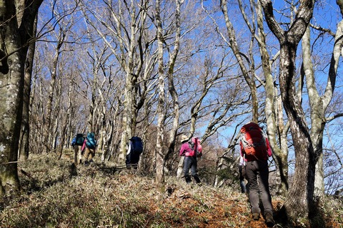 114 間もなく秋山峠。