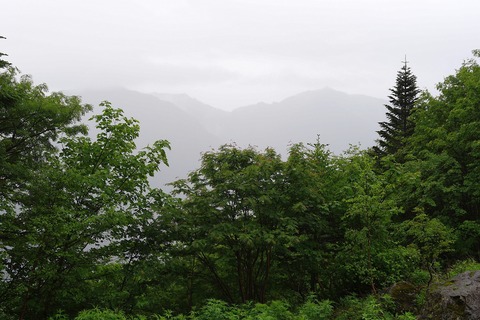 DSC08974