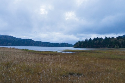 20161008-DSC03451