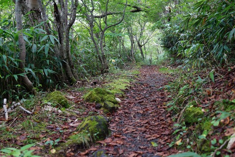 DSC03150