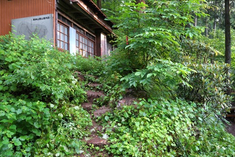 DSC02517