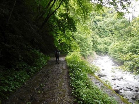 061 川沿いは涼しい。9時ちょうど。