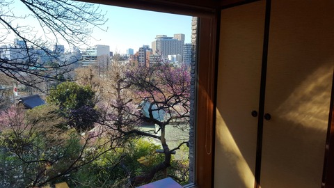 20160211_105528