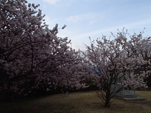 P3250656