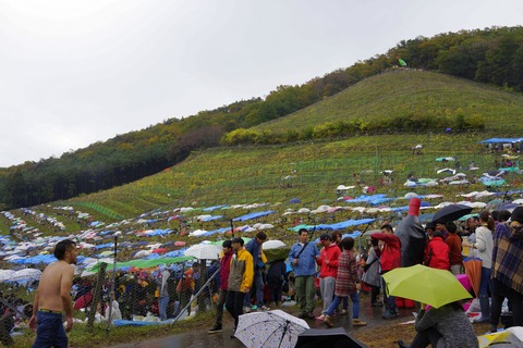 _DSC0900