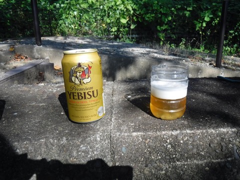 50 ビールグラスを作りました。