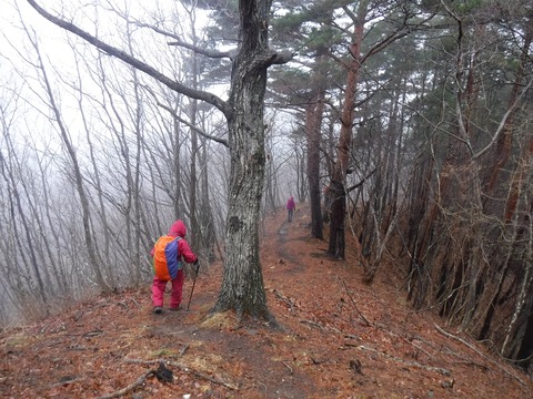 10 次の山までは穏やかな尾根道。