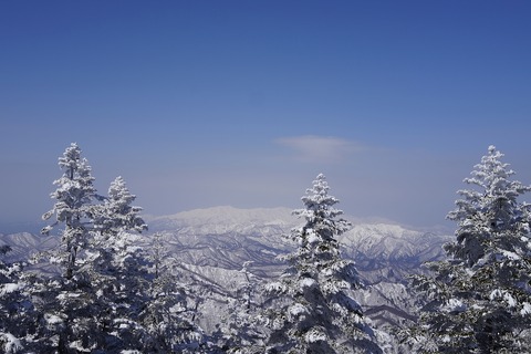 DSC04510