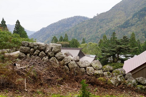 DSC02999