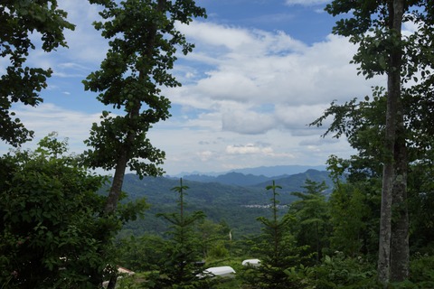 DSC02442
