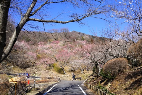 DSC05051
