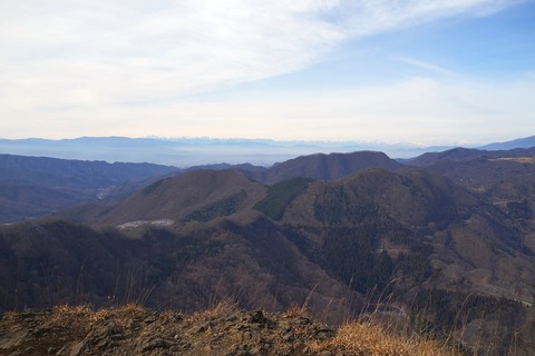 DSC03547