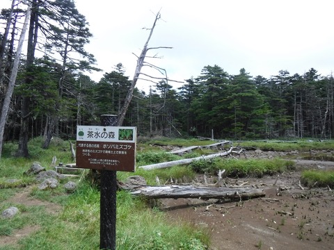 DSCF1901