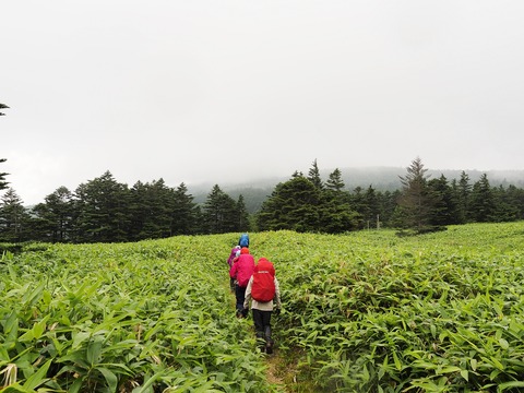 037 行く手の高まりが浦倉山か。