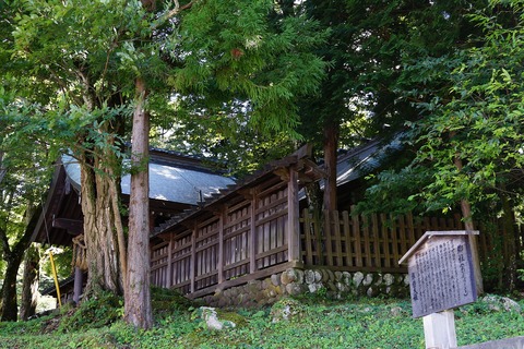 DSC05214