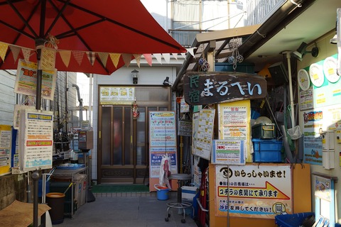DSC09798