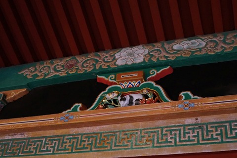 DSC08852