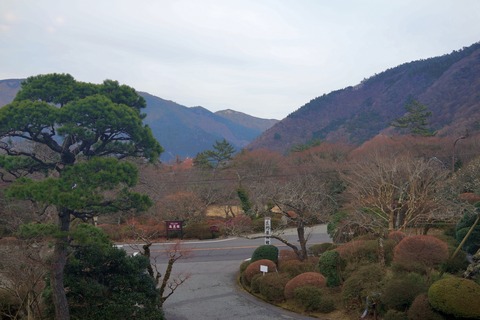 DSC05206
