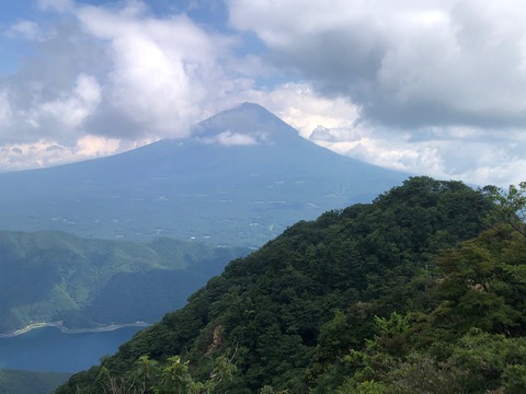 41 山頂が見えた。